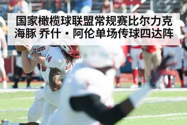 国家橄榄球联盟常规赛比尔力克海豚 乔什·阿伦单场传球四达阵